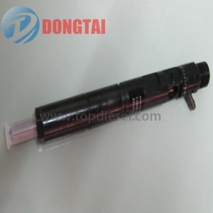 EJBR00801D DELPHI COMMON RAIL INJECTOR