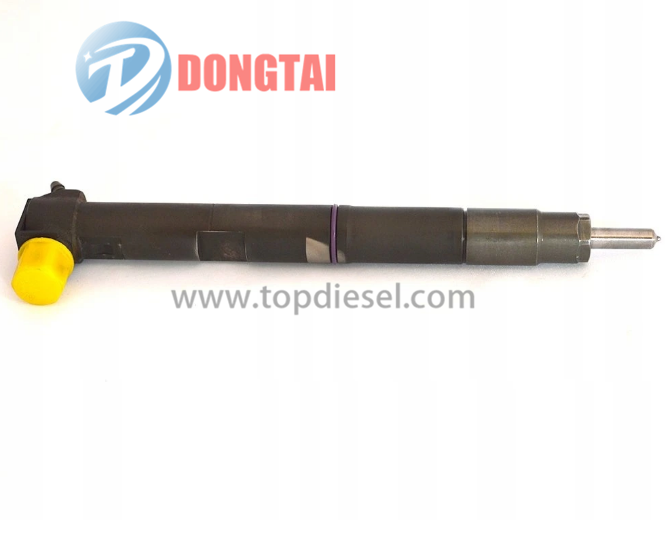 Personlized ProductsAuto Spare Parts - EJBR00201D DELPHI COMMON RAIL INJECTOR  – Dongtai