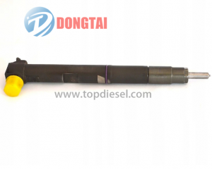 EJBR02901D DELPHI COMMON RAIL INJECTOR