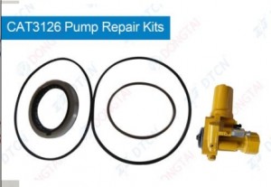 Manufacturing Companies for Cp1 Repair Kit F01m101455 - NO.131(4) Repair Kits for CAT3126 Pump – Dongtai