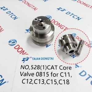 NO.528(1) CAT Core Valve 0815  for C11,C12, C13, C15,C18