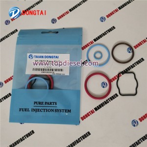 China wholesale Cat Injector Dismounting Stand -
 No,108(21)Repair Kits For CAT C10 C12 3176C Injector  – Dongtai