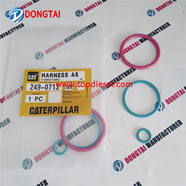 2017 Good Quality Nozzle Yanmar Type - No,108(2-1)CAT 249-0713 REPAIR KITS FOR CAT C13 C15 – Dongtai