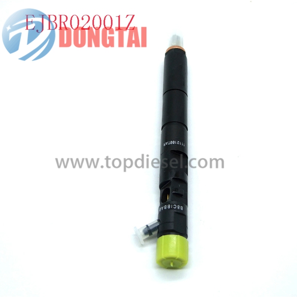 Well-designed Digital Timer And Heater Series - EJBR02001Z  DELPHI COMMON RAIL INJECTOR  – Dongtai