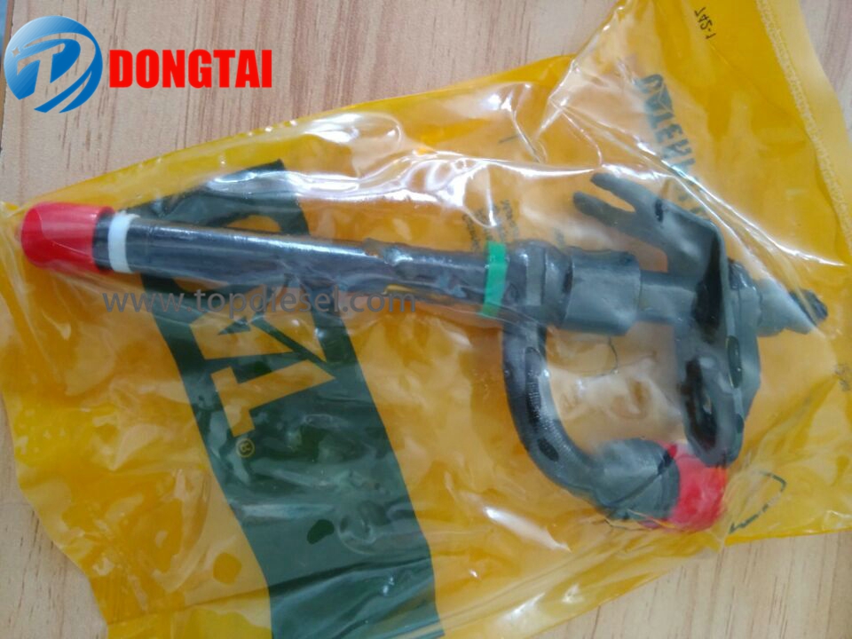 Good Quality Plungerelement Pw Type - 32262 CAT Injector – Dongtai