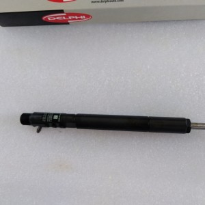 DELPHI  Common Rail Injector EJBR04601D