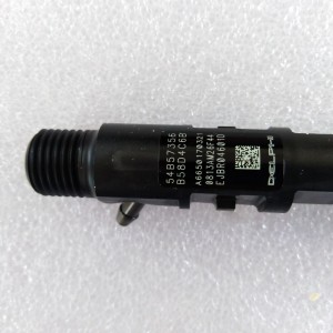 DELPHI  Common Rail Injector EJBR04601D