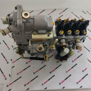 Diesel Fuel Injection pump BH4PA for DEUTZ