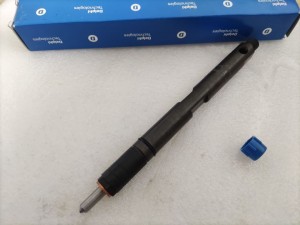 Original Delphi CR Fuel injector LJBB04101A