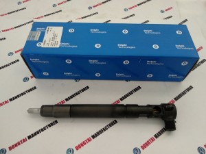 DELPHI  Original Common Rail Injector EMBR00301D for SSANGYONG Korando