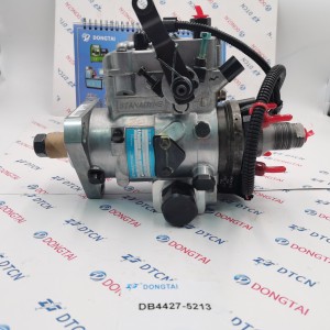 DELPHI Injection pump DB4427-5213  9237175 Original