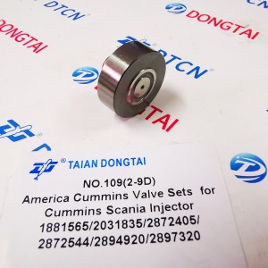 NO.109(2-9D)America Cummins Valve Sets Z4954954D For CUMMINS Scania Injector 1881565/2031835/2872405/ 2872544/2894920/2897320
