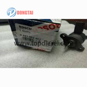 Fuel Pressure Regulator (DRV)