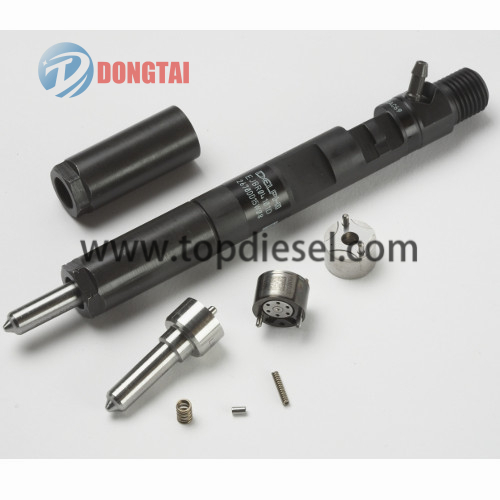 Special Design for Diesel Fuel Injection Pump - Delphi injector – Dongtai