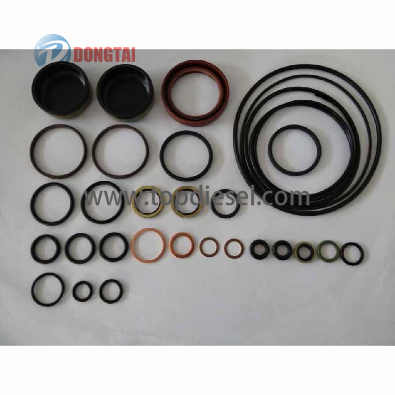 Manufacturer for Isuzu Injector 8-97602485-6 - Repair Kits – Dongtai