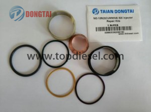 China Manufacturer for Diesel Fuel Injector - NO.129(2) CUMMINS ISX INJECT OR REPAIR KITS – Dongtai