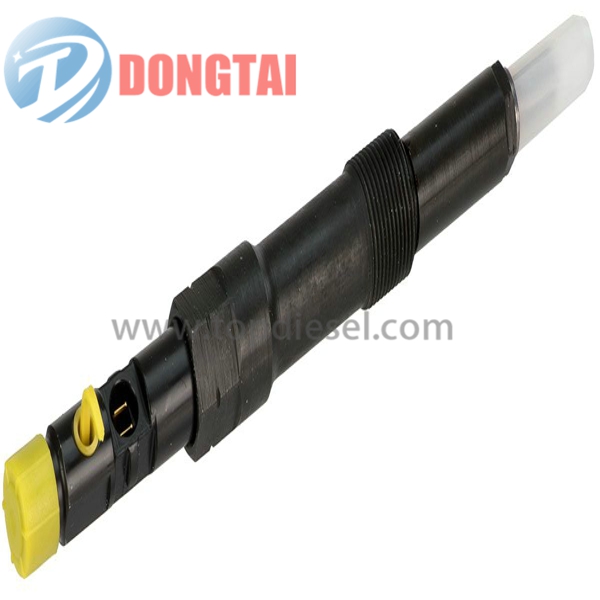 OEM Supply Injector Spare Parts - EJBR00501Z DELPHI COMMON RAIL INJECTOR – Dongtai