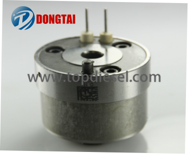 Professional ChinaPlungerelement Mw Type - No,513 Delphi Control valve 7206-0379 II  – Dongtai