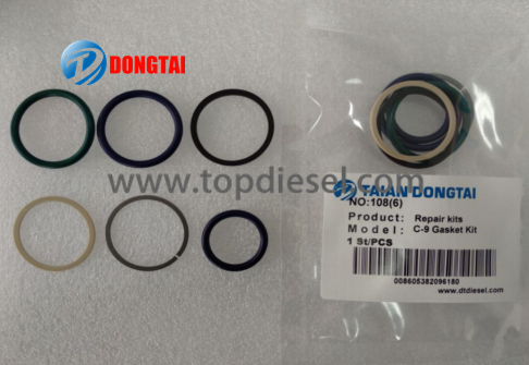 Factory Free sample Cp1 Repair Kits - NO,108(6) ：C-9 GASKET KIT  – Dongtai