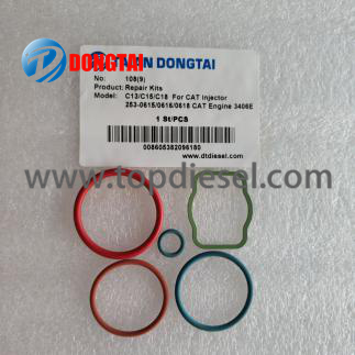 Fixed Competitive Price Pressure Limiting Valve - NO,108(9) ：C13/C15/C18 Repair Kits For CAT Injector 253-0615 /0616 /0618 CAT Engine 3406E  – Dongtai
